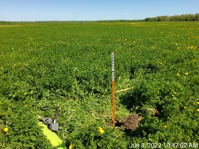 Survey marker in a field