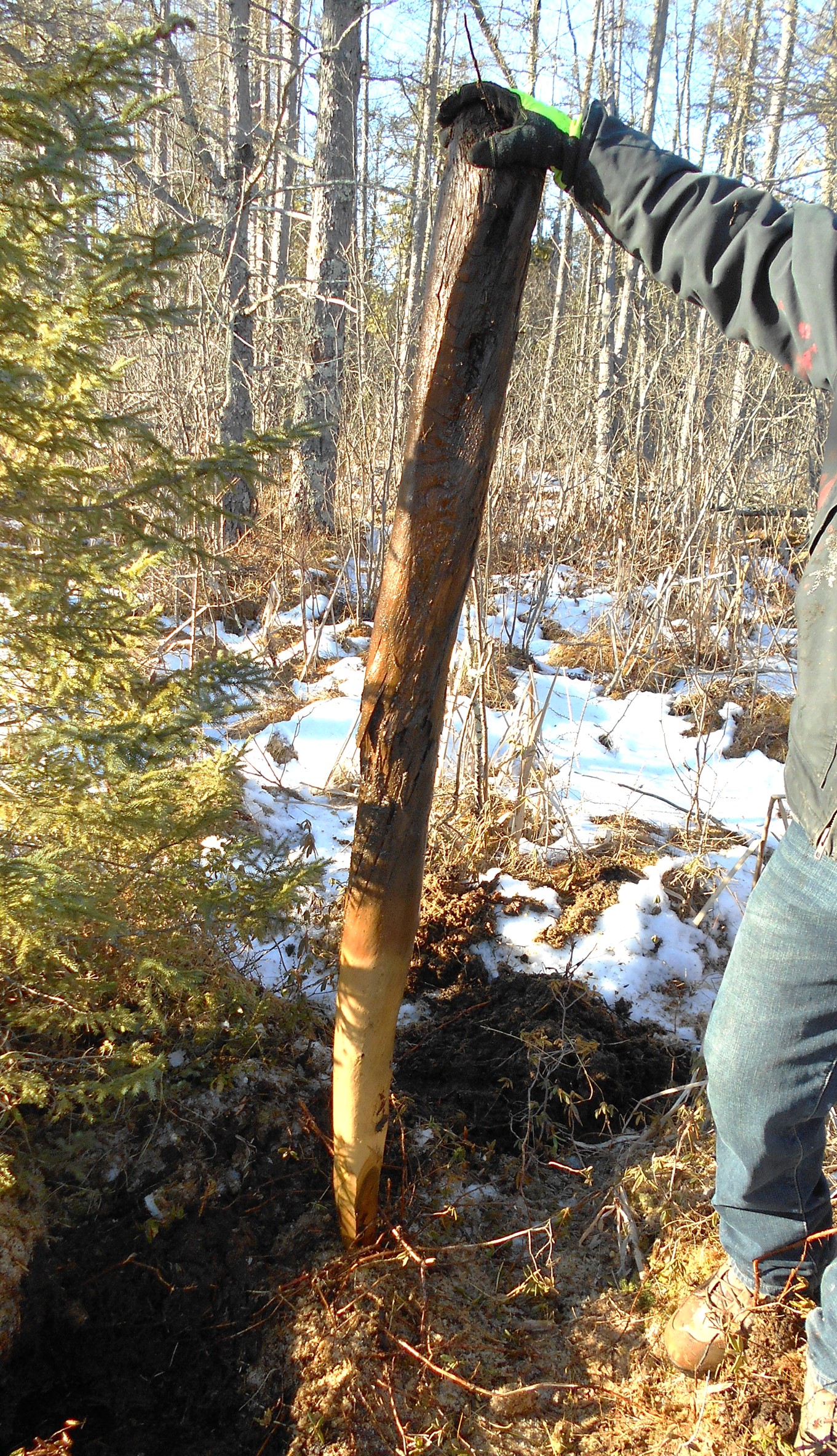 Original wooden land survey monument